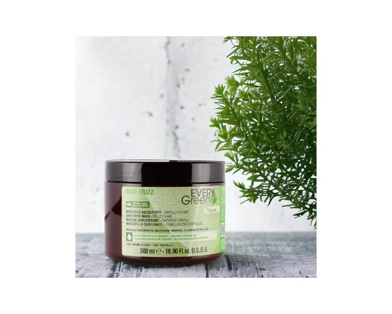 Mascarilla EveryGreen  Anti-Frizz 500ml